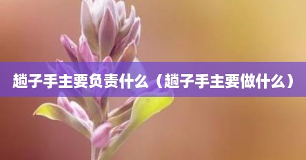 趟子手主要负责什么（趟子手主要做什么）