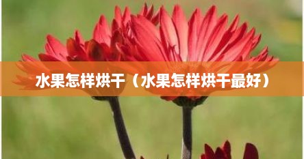 水果怎样烘干（水果怎样烘干最好）