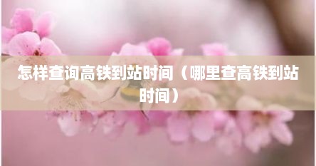 怎样查询高铁到站时间（哪里查高铁到站时间）