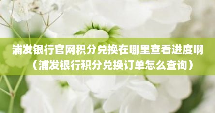 浦发银行官网积分兑换在哪里查看进度啊(浦发银行积分兑换订单怎么查询) 浦发银行官网积分兑换在哪里查看进度啊(浦发银行积分兑换订单怎么查询)