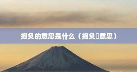 抱负的意思是什么（抱负旳意思）