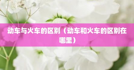 动车与火车的区别（动车和火车的区别在哪里）