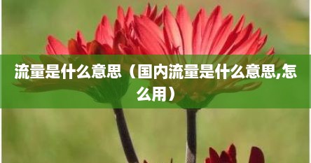 流量是什么意思（国内流量是什么意思,怎么用）