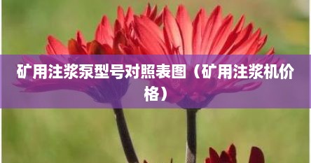 矿用注浆泵型号对照表图（矿用注浆机价格）