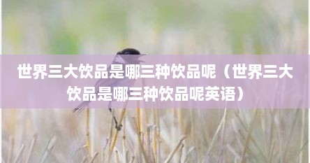 世界三大饮品是哪三种饮品呢（世界三大饮品是哪三种饮品呢英语）