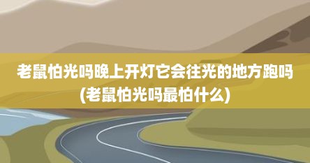 老鼠怕光吗晚上开灯它会往光的地方跑吗(老鼠怕光吗最怕什么)