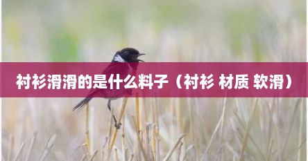 衬衫滑滑的是什么料子（衬衫 材质 软滑）