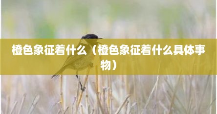 橙色象征着什么（橙色象征着什么具体事物）