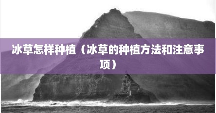 冰草怎样种植（冰草的种植方法和注意事项）
