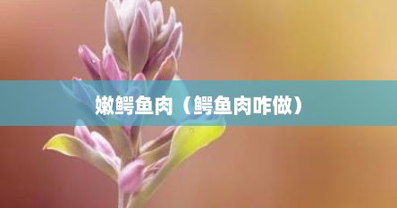 嫩鳄鱼肉（鳄鱼肉咋做）