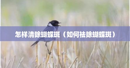 去除蝴蝶斑的方法（如何去除蝴蝶斑的呢）