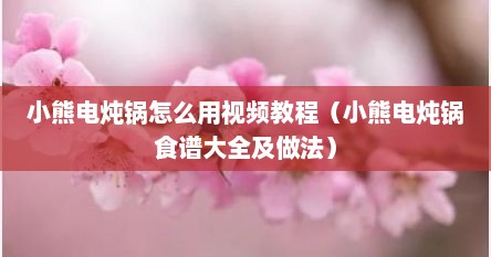 小熊电炖锅怎么用视频教程（小熊电炖锅食谱大全及做法）