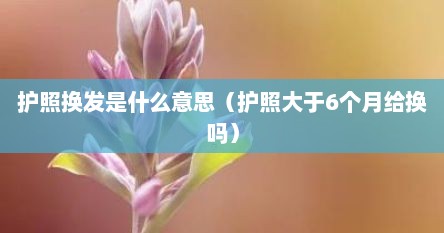 护照换发是什么意思（护照大于6个月给换吗）