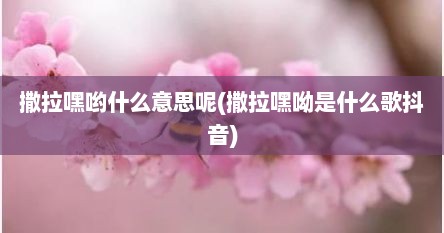 撒拉嘿哟什么意思呢(撒拉嘿呦是什么歌抖音)