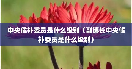 中央候补委员是什么级别（副镇长中央候补委员是什么级别）