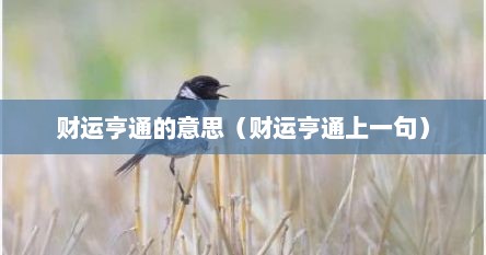 财运亨通的意思（财运亨通上一句）