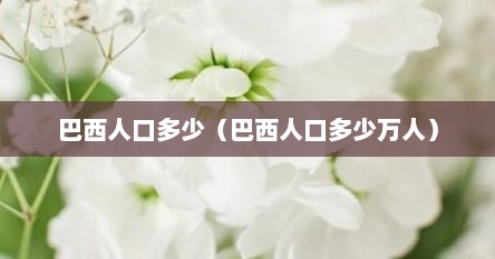 巴西人口多少（巴西人口多少万人）