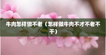 牛肉怎样做不老（怎样做牛肉不才不老不干）