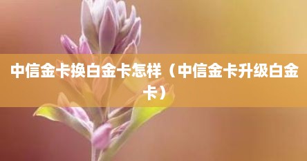 中信金卡换白金卡怎样（中信金卡升级白金卡）