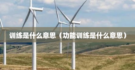 训练是什么意思（功能训练是什么意思）