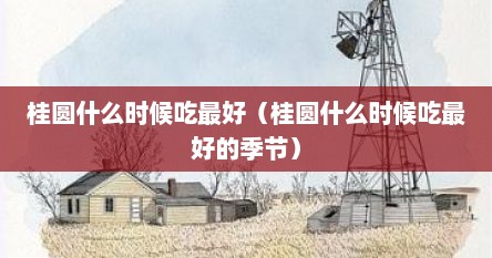 桂圆什么时候吃最好、怎么吃（桂圆哪个时间吃最好）