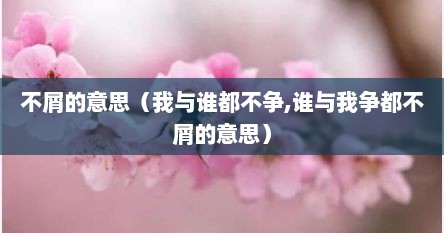 不屑的意思（我与谁都不争,谁与我争都不屑的意思）