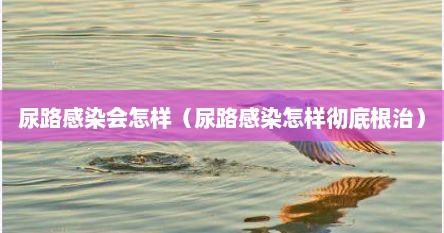 尿路感染会怎样（尿路感染怎样彻底根治）
