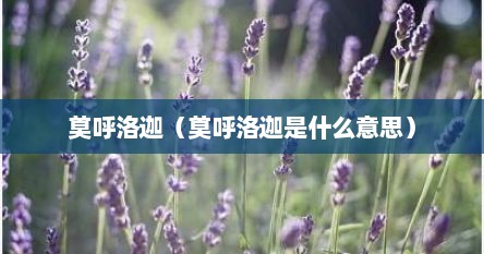 莫呼洛迦（莫呼洛迦是什么意思）
