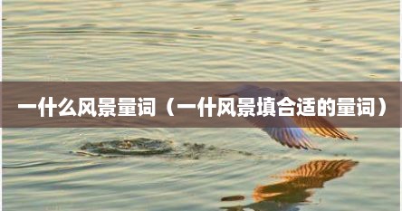 一什么风景量词（一什风景填合适的量词）