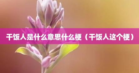 干饭人是什么意思什么梗（干饭人这个梗）