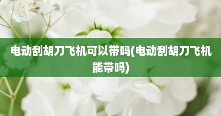 电动刮胡刀飞机可以带吗(电动刮胡刀飞机能带吗)