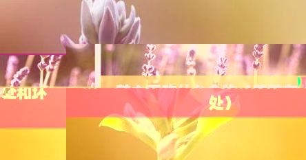 鹅主要吃什么食物（养鹅有什么好处和坏处）