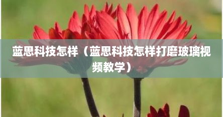 蓝思科技怎样（蓝思科技怎样打磨玻璃视频教学）