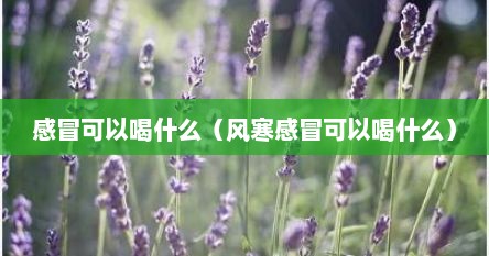 感冒可以喝什么（风寒感冒可以喝什么）