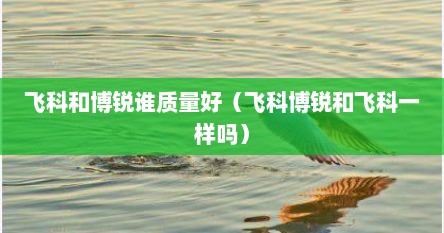 飞科和博锐谁质量好（飞科博锐和飞科一样吗）