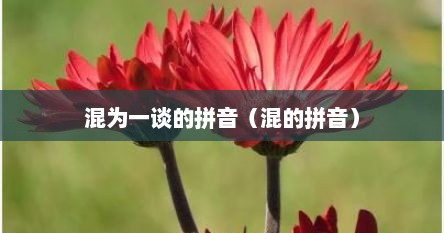混为一谈的拼音（混的拼音）