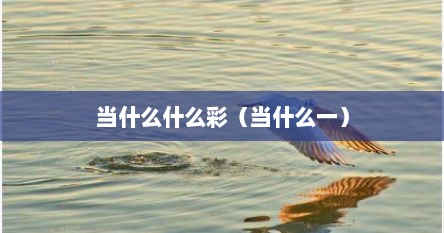 当什么什么彩（当什么一）