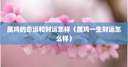 属鸡的命运和财运怎样（属鸡一生财运怎么样）