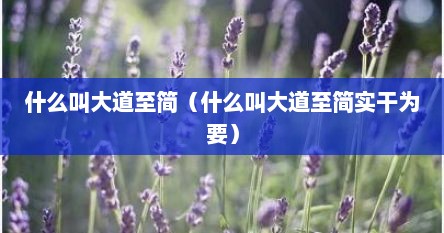 什么叫大道至简（什么叫大道至简实干为要）