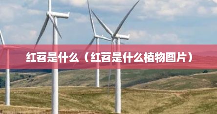 红苕是什么（红苕是什么植物图片）
