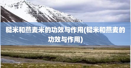 糙米和燕麦米的功效与作用(糙米和燕麦的功效与作用)