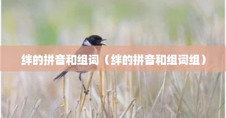 绊的拼音和组词（绊的拼音和组词组）