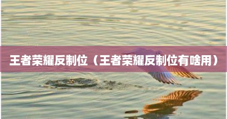 王者荣耀反制位（王者荣耀反制位有啥用）