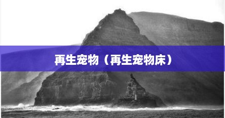 再生宠物（再生宠物床）