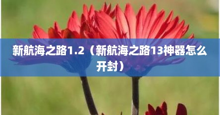 新航海芝路1.2（新航海芝路13神器怎么开封）