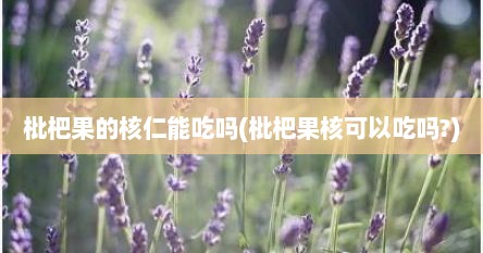 枇杷果的核仁能吃吗(枇杷果核可以吃吗?)