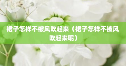 裙子怎样不被风吹起来（裙子怎样不被风吹起来呢）