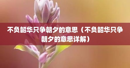 不负韶华只争朝夕的意思（不负韶华只争朝夕的意思详解）
