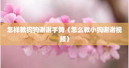 怎样教狗狗谢谢手势（怎么教小狗谢谢视频）