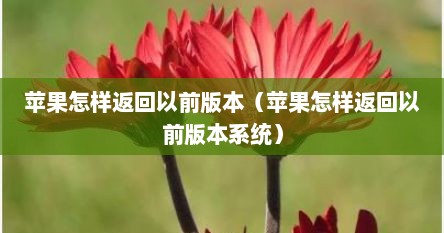 苹果怎样返回以前版本（苹果怎样返回以前版本系统）